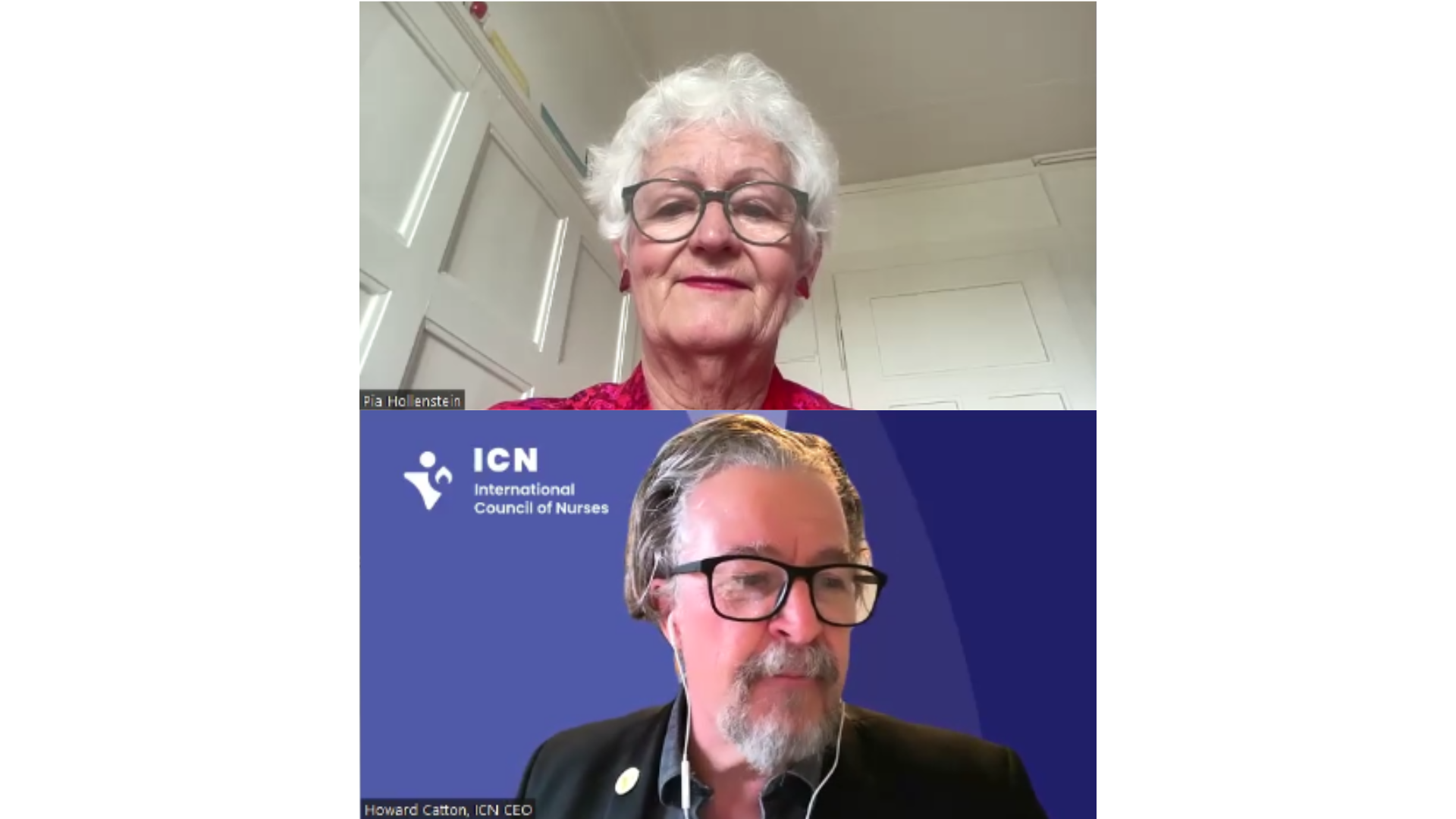 Klimaseniorinnen Interview screenshot