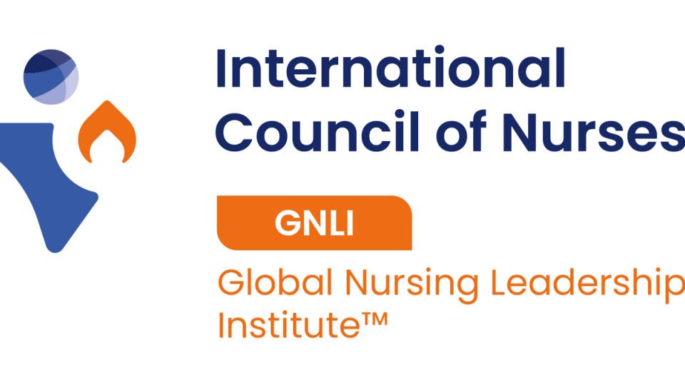 GNLI 2024 : Ouverture des candidatures pour la formation avancée des  leaders infirmiers