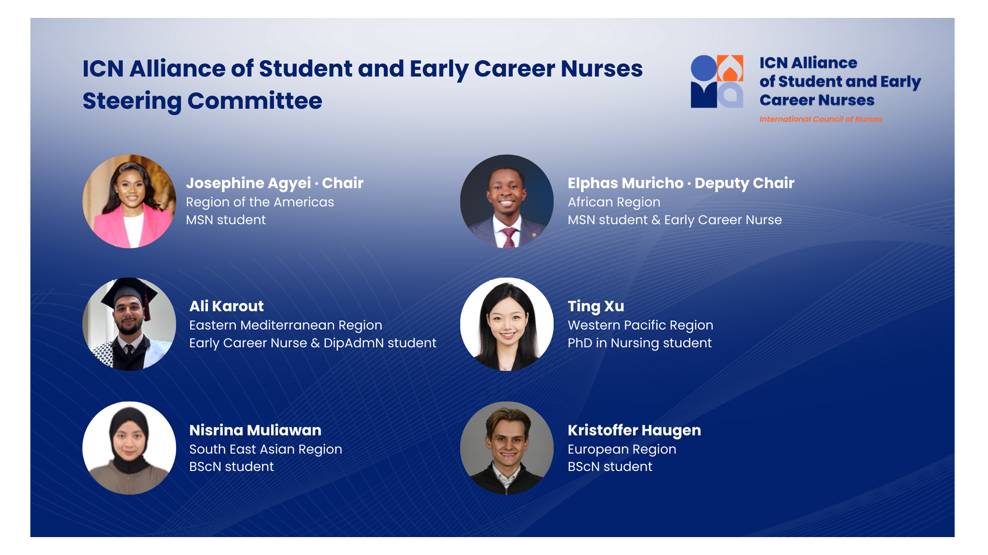 ICN SECN Alliance Steering Group