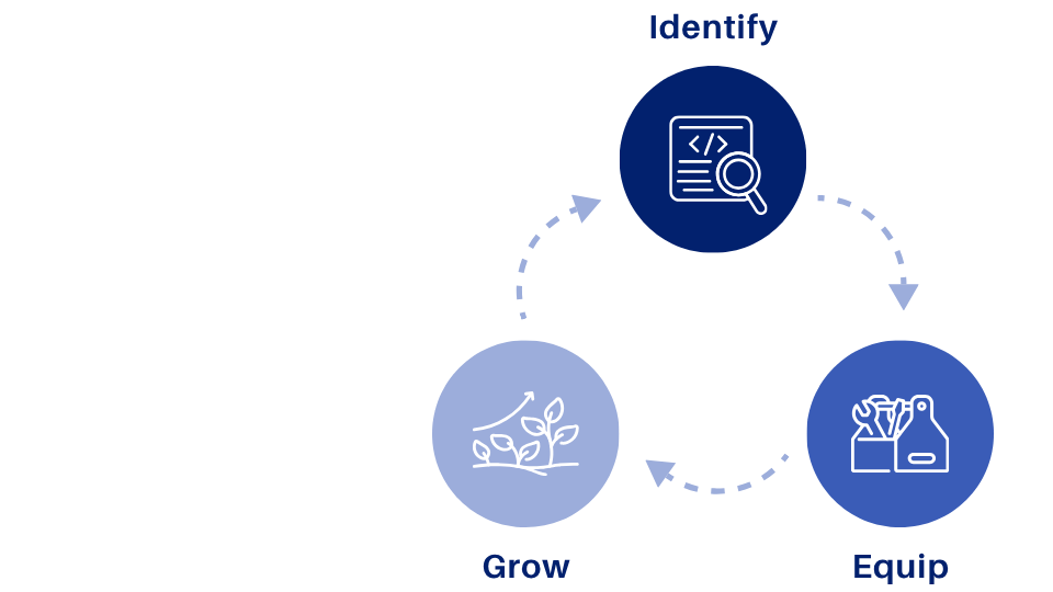 ODENNA LatAm  webpage_Framework